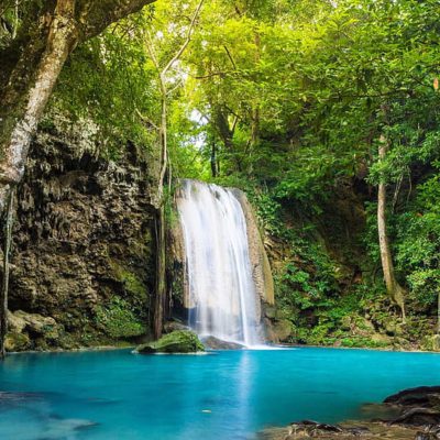 wallpaper hutan menakjubkan wallpaper hutan menakjubkan