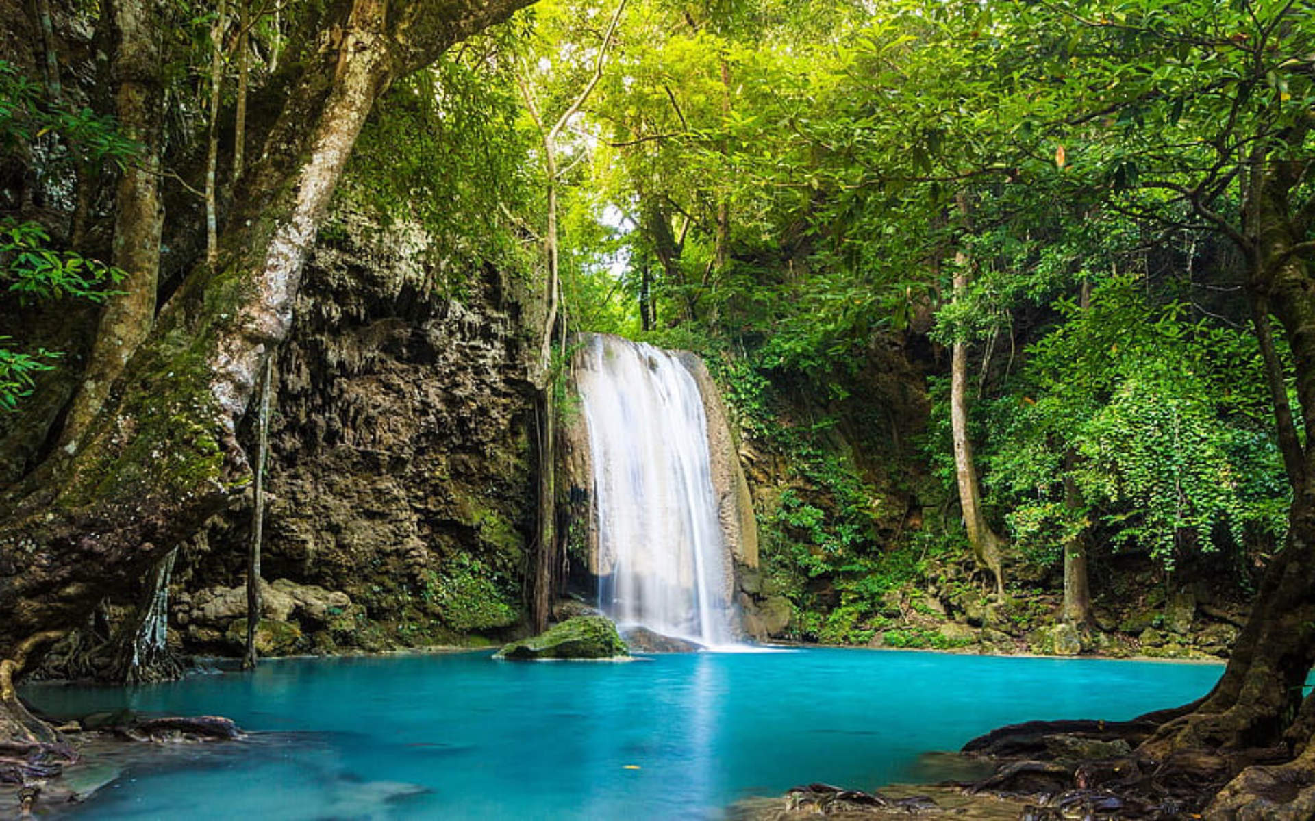 wallpaper hutan menakjubkan